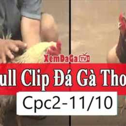 đá gà cpc2 11 9