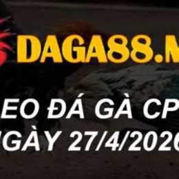 đá gà cpc2 ngày 13 10