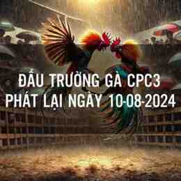da ga cpc3 15 10 2023