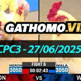 da ga cpc3 ngay 27 6