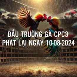 đá gà cpc3 trận 24