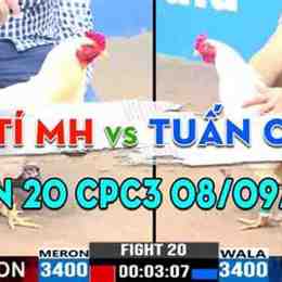 da ga cpc3 tran 45