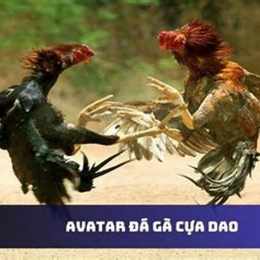 da ga cua dao pc1