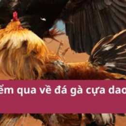 da ga cua dao phat lai