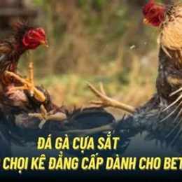 da ga cua sat moi cap nhat