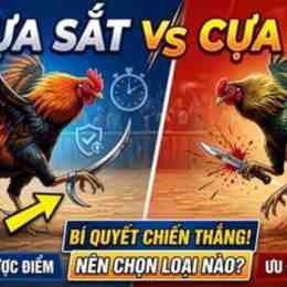 da ga cua sat nam 2016