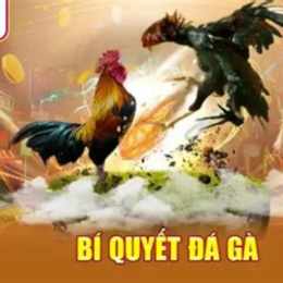da ga dola777