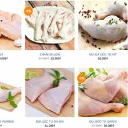 da gà đông lạnh giá sỉ