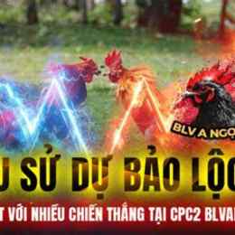 đá gà dự bảo lộc