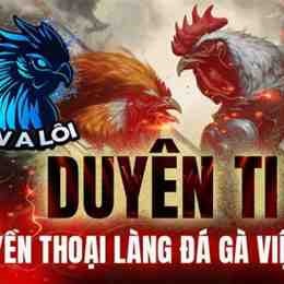 đá gà duyên ti c3 gà đen