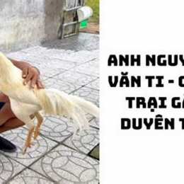 da ga duyen ty hom nay