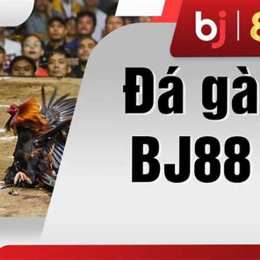 đá gà ezb68