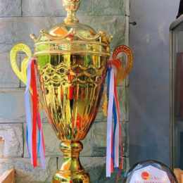 đá gà giải cúp c3
