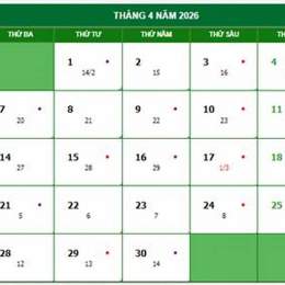 đá gà giải ngày 15 tháng 04 năm 2024