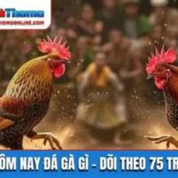 đá gà hôm nay màu nào mạnh