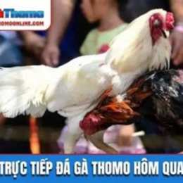 da ga hom qua c3