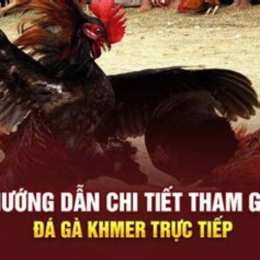 đá gà khmer hôm nay