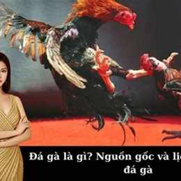 đa ga là gì