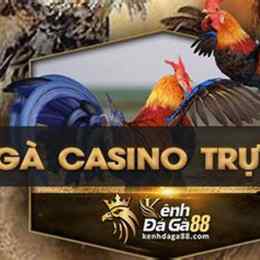 da ga live casino 67
