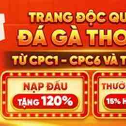 đá gà mạng trực tiếp trường thomo