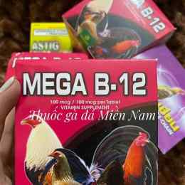 đá gà mega 168
