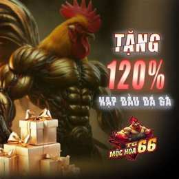 đá gà mộc hóa hôm nay