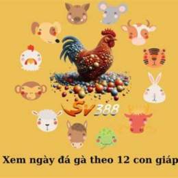 da ga ngay 12 1