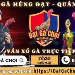 đá gà ngày 14 tháng 3