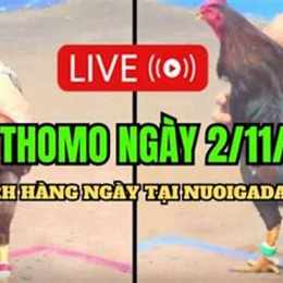 da ga ngay 15/4/2024