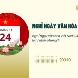 da ga ngay 24/11