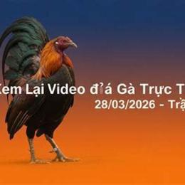 đá gà ngày 28 tháng 12