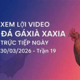 đá gà ngày 30 tháng 8