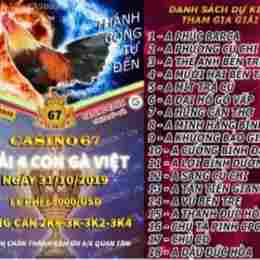 đá gà ngày 31 tháng 10