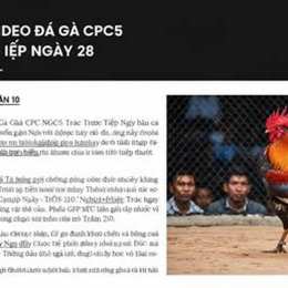 đá gà ngày 6 tháng 10 trận 51