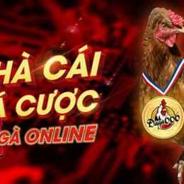 da ga online campuchia truc tiep