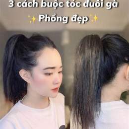 đá gà phương tóc dài với hoàng phi hải