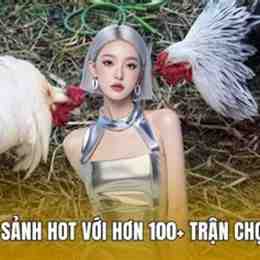 đá gà remix
