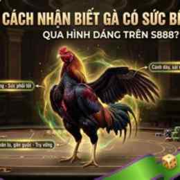 da ga s888. com
