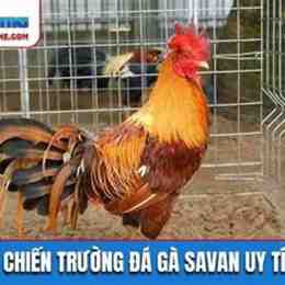 đá gà savan.com
