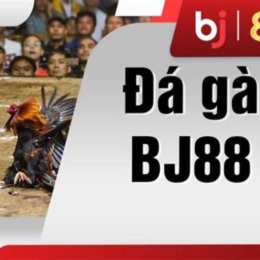 đá gà sbobet