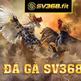 đá gà sv368 blog