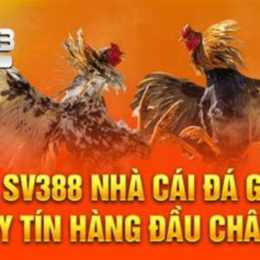 đá gà sv388 asia