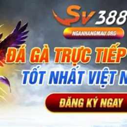 đa ga svv388.com