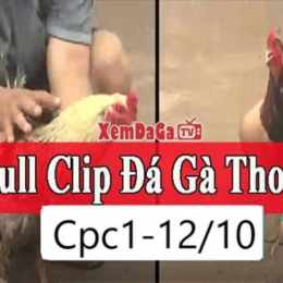 đá gà thomm