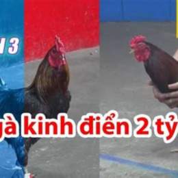 đa ga thomo 26 7