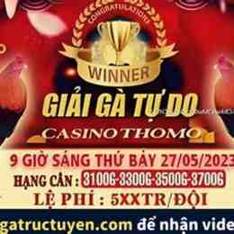 đá gà thomo 27 5 2024