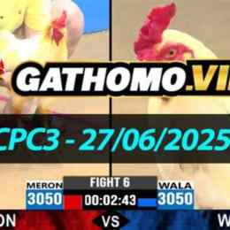 đá gà thomo 27 6 cpc3