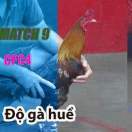 da ga thomo 8 1 2020