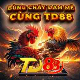 đá gà thomo 88 nét
