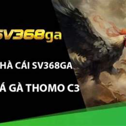 đá gà thomo c3 13 6